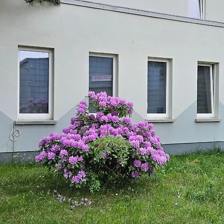 Séjour chez l'habitant In