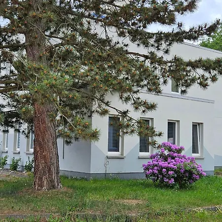 In Georgenthal (Thuringia)